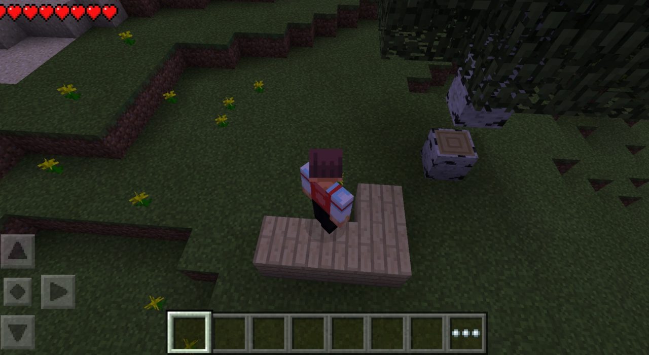 Screenshot_2020-05-30-15-46-23-479_com.mojang.minecraftpe 0.11.0