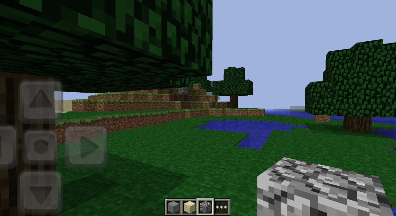Screenshot_2020-06-01-12-39-21-241_com.mojang.minecraftpe 0.1.3