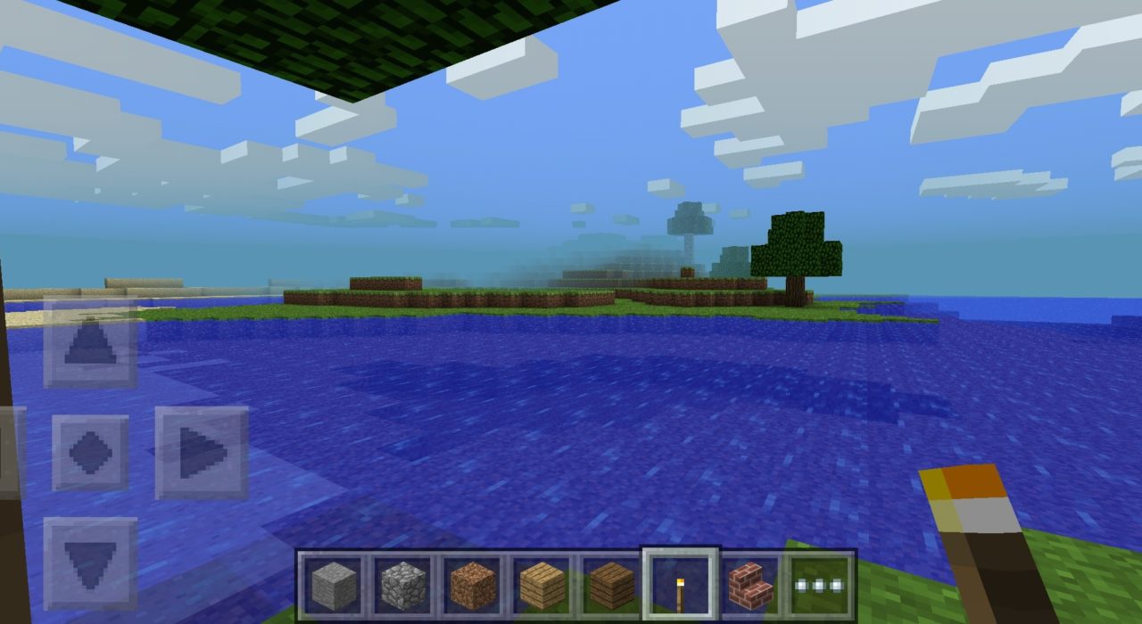 Screenshot_2020-06-01-12-57-22-409_com.mojang.minecraftpe 0.8.0