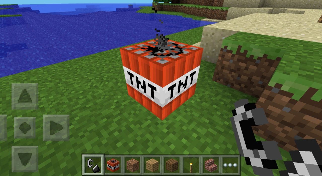 Screenshot_2020-06-01-12-58-03-375_com.mojang.minecraftpe 0.8.0