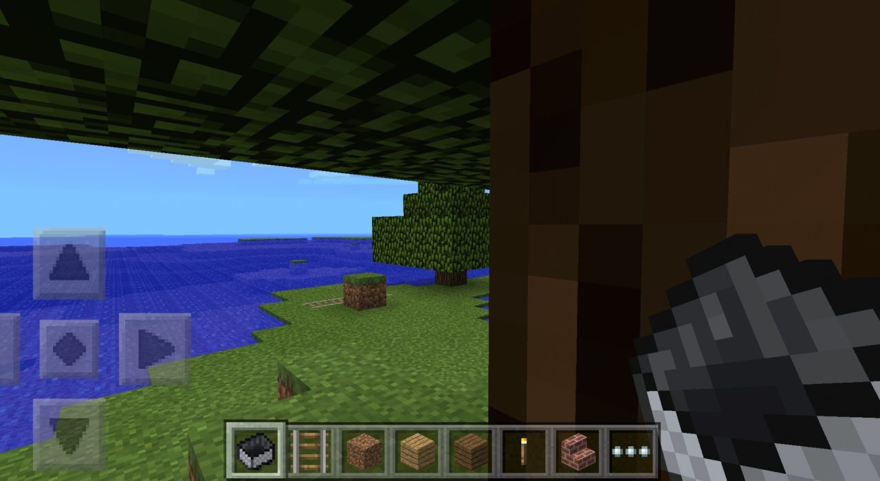 Screenshot_2020-06-01-13-15-36-304_com.mojang.minecraftpe 0.9.4